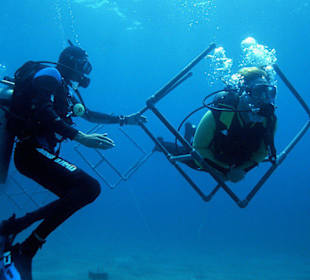 Der Tarierpark am Hausriff