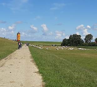 Wandern Krummhörn
