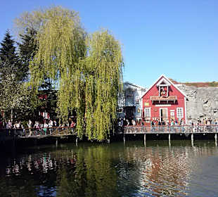 Europapark - alles schön, selbst wenn man nichts  