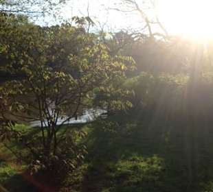 Herrlicher Spazierweg am Teich im Kurpark