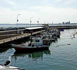 Stadtrundgang Punta del Este