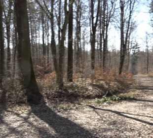 Geschichtlicher Lehrpfad Einsiedel