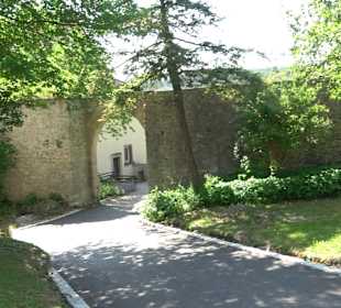 Burg Hohenberg