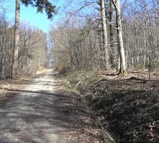 Geschichtlicher Lehrpfad Einsiedel