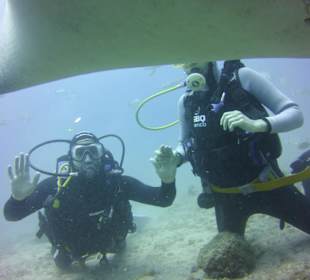 Tauchen Ocean Trek Teneriffa