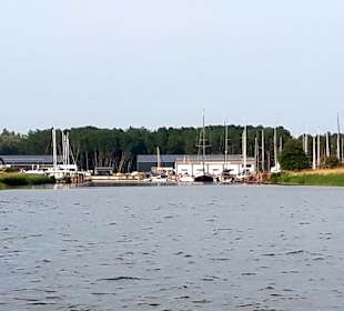 Apollo Tagestour zur Greifswalder Oie 