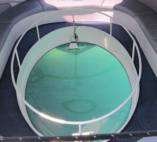 Glasscheibe zum Anschauen der Fische!