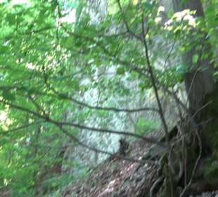 Premiumwanderweg "hochgelegen"