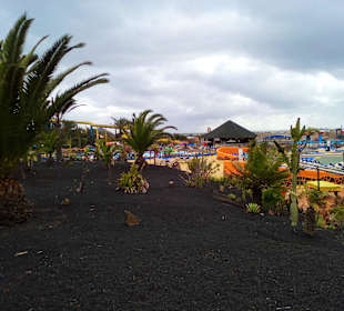Acua Water Park Corralejo