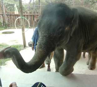 Guten Tag ich bin der Neue