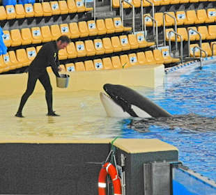 Da wartet er schon, der Futter geber