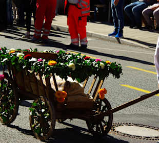 Leiterwagen Neunhofer