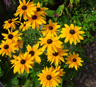 Eindrücke vom Rundgang durch den Park der Gärten