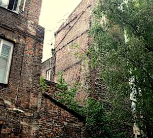 Ulica Wilcza - kamienica pełniąca funkcję squatu