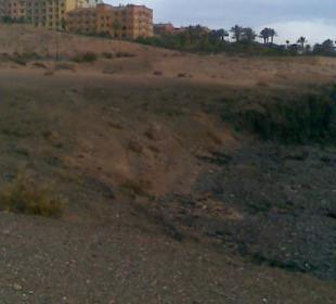 Eindrücke am Strand