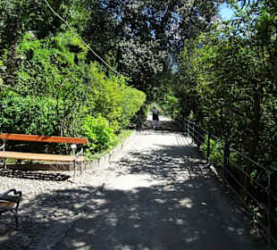 Wanderung auf der Gilfpromenade