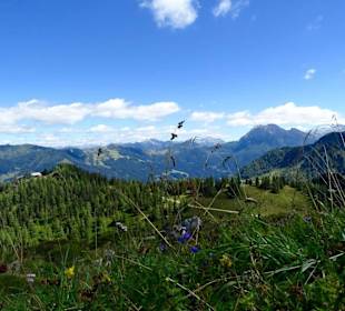 Natur Grafenberg