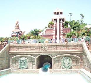 Tower of Power endet zwischen Aquariummeeresgetier