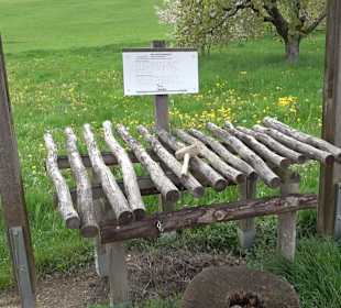 Naturerlebnisweg des NABU-Metzingen