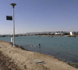 Stadtbesichtigung El Gouna