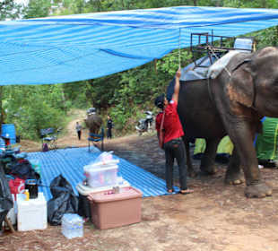Das Versorgungszelt - alles für nur zwei Gäste