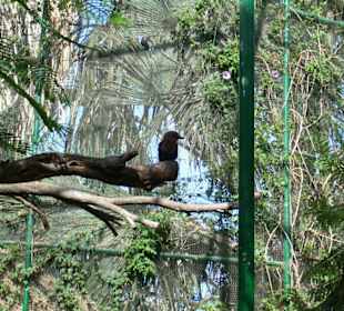Jardin Botanico de Cactus