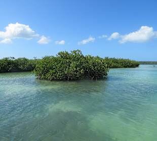 Wir besuchen unterwegs eine schöne Lagune