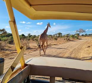 Geführte Touren Marco Polo Tours & Safaris Diani Beach