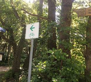 Radfahren Graal-Müritz