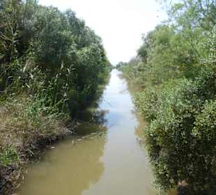 Im Parc natural de s’Albufera de Mallorca