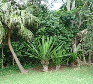 Black River Gorges NP