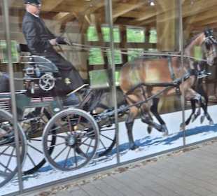 Haupt- und Landgestüt Marbach