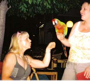 In der Kalypso Bar
