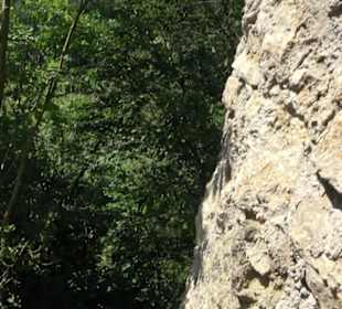 Burgruine Niederhaus