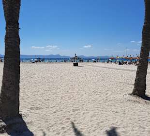 Strand Alcudia