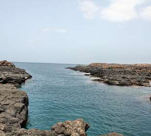 Ausflug Meeresbecken