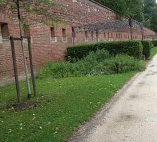 Baumlehrpfad Glacis Park