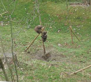 Klettern ist angesagt.