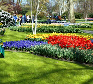 Blumenpracht im Keukenhof