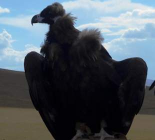 Auf dem Weg zum Gorkhi Terelj Nationalpark