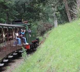 Mit der Puffing Billy Dampfbahn unterwegs