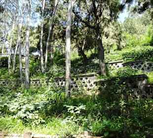 Jingshan Park (Jingshan Gongyuan) 