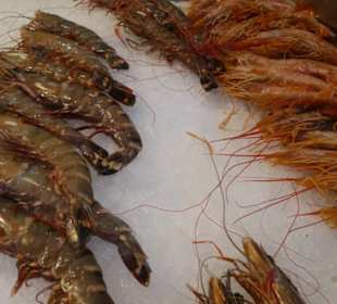 Unterwegs auf dem schönen Markt von Santa Cruz