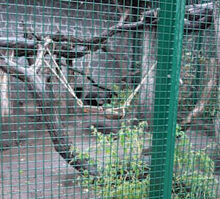 Tierpark