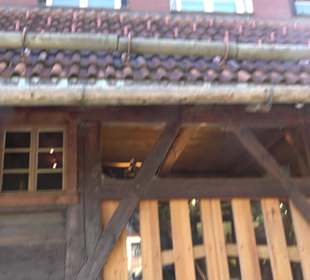 Schwarzwälder Skimuseum