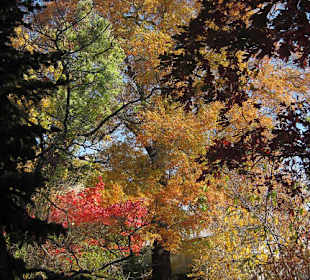 Herbstfarben