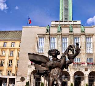 Wieża widokowa 