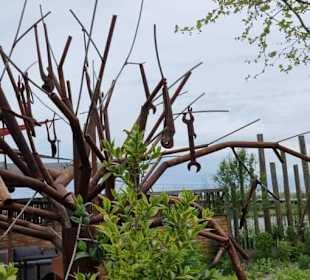 Jetzt kommen die Hausgärten 