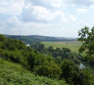 Blick von der Bismarckhöhe über das Maintal