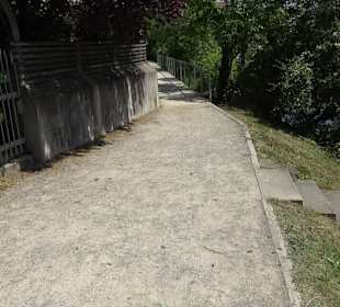 Stadtgarten